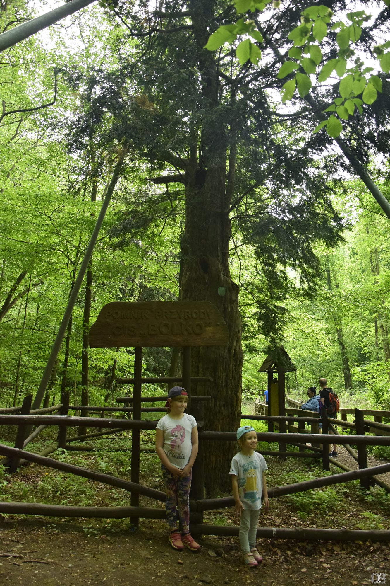 Sciezka Hochbergow 21.jpg